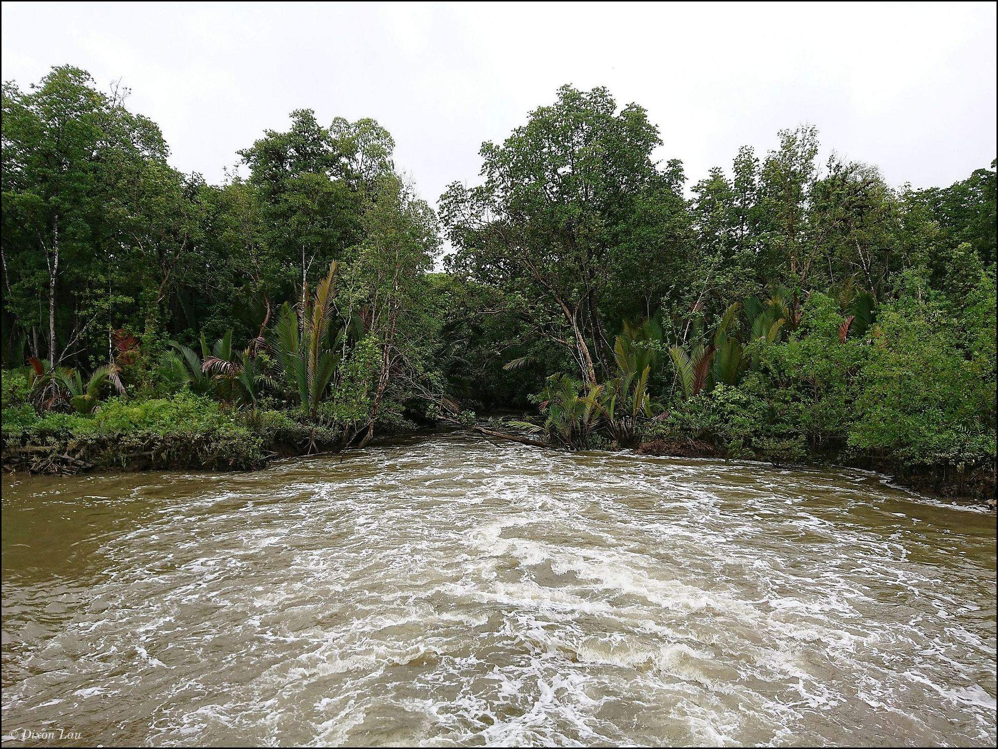 Figure 1A. Strong water movement during tidal exchange through a drainage channel beneath a raised road.